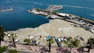 Deniz salyası Eskihisar'da ağları duman etti