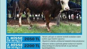 Gümüşhanelilerden Kurban organizasyonu!
