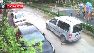 Harçlıklarıyla besledikleri köpeğe elleriyle mezar yaptılar