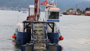 İzmit Körfezi'nde deniz salyası seferberliği