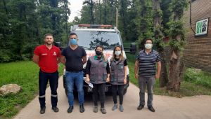 Kocaeli’de bulunan Kızıl Şahin yavruları koruma altına alındı