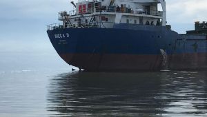 Körfezi kirleten gemiye 1 milyon 301 bin TL ceza