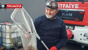 Otomobilin içinden kurtardıkları kediyi sahiplendiler