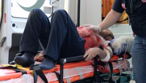 Silahını temizlerken kendini karnından vurdu