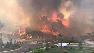 5 ilde çıkan orman yangınlarına müdahale sürüyor