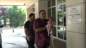 Acemi kasaplar hastanelik oldu