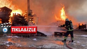 Çayırova'da palet deposu alevlere telim oldu