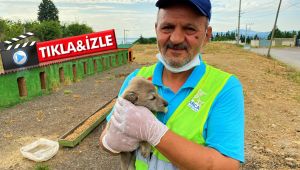 Darıcalı Ekrem amca şefkatiyle örnek oluyor