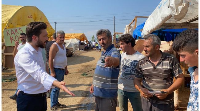 Demirci ve ekibi hayvan pazarını karış karış gezdi