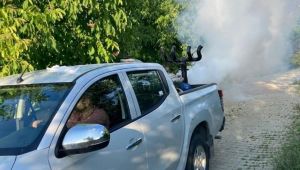 Dilovası Belediyesi, sivrisinek ve haşerelere savaş açtı