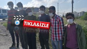 Dinlenme tesisinde 6 kaçak göçmen yakalandı