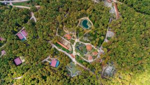 En iyi ‘’Ekolojik Destinasyon Ödülü’’ Ormanya’nın