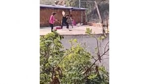 Gebze Belediyesi'nden kediye işkence açıklaması