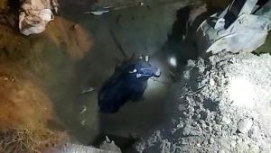 Gebze'de lağım çukuruna düşen tosun kurtarıldı