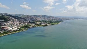 İzmit Körfezi’nde müsilaj etkisini kaybetti