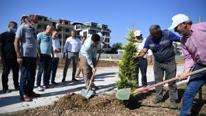 Kartepe’de 15 Temmuz şehitleri için fidan dikildi