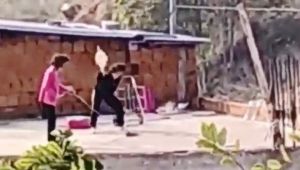 Kediye yapılan işkence “pes” dedirtti