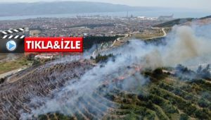 Kocaeli'de çıkan yangının sebebi belli oldu