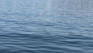 Kocaeli’de denizde erkek cesedi bulundu