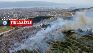 Kocaeli’de orman yangını