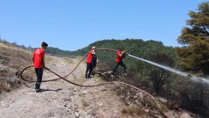 Kocaeli’deki orman yangını kontrol altına alındı