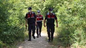 Kocaeli’deki ormanlara sıkı denetim