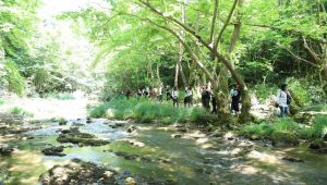 Körfez'de sağlık çalışanlarının doğa yürüyüşü
