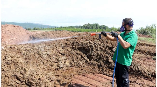 Kurban pazar yerleri ilaçlanıyor