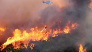 Pakdemirli, orman yangınlarına ilişkin son bilgileri paylaştı