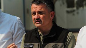Pakdemirli, orman yangınlarına ilişkin son bilgileri paylaştı!