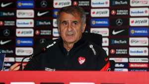 Şenol Güneş'ten Euro 2020 açıklaması!
