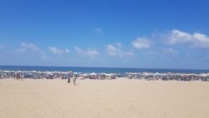 Tatilciler Kocaeli sahillerine akın etti