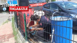 Tellere sıkışan doberman için seferber oldular