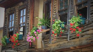 Terk edilen 150 yıllık ahşap ev, hayata döndürüldü