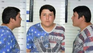 Tosuncuk Türkiye'ye getiriliyor!