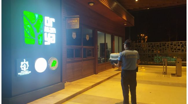 Yaralı Ebabil kuşu Ormanya’da tedavi edilecek