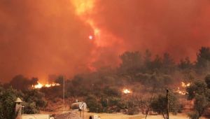 132 yangından 125’i söndürüldü!