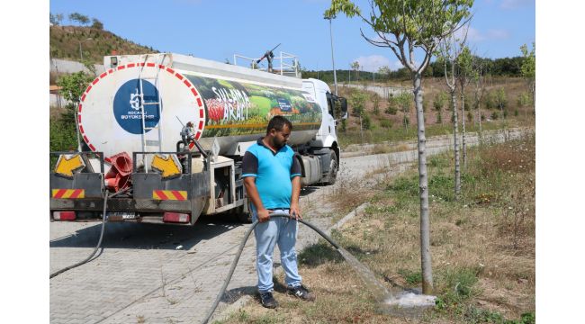 Ağaçlara can suyu Büyükşehir’den