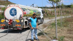  Ağaçlara can suyu Büyükşehir’den