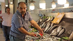 Balık avı sezonu öncesi fiyatlar normal seyrediyor