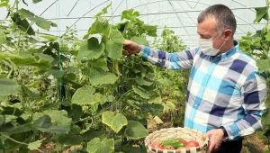 Başkan Büyükakın, ‘’Emek demek bereket demek’’