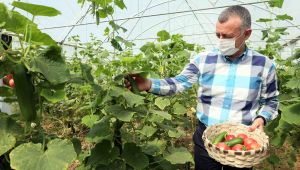 Bayraktar köyünde ilk hasadı Başkan Büyükakın yaptı