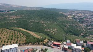 Dilovası’nda hastaneye erişim kolaylaşacak