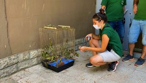 Elle besliyorlardı, avlanır hale geldi
