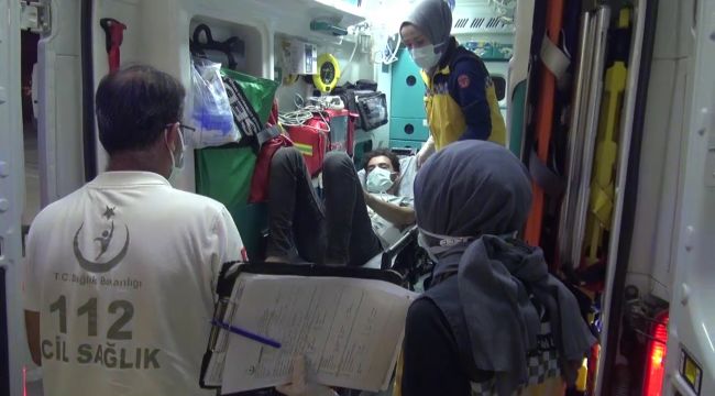 Fındık toplarken yılanın ısırdığı kişi hastanelik oldu