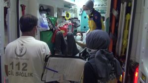 Fındık toplarken yılanın ısırdığı kişi hastanelik oldu