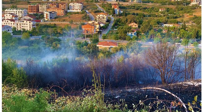 Gebze’de ağaçlık alan alevlere teslim oldu