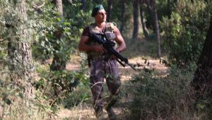 Gebze’de Ormanlar özel olarak korunuyor!