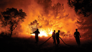 İşte orman yakmanın cezası