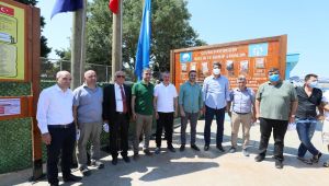 Kovanağzı Plajı’nda Mavi Bayrak dalgalanmaya başladı